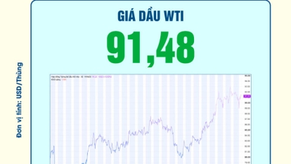 Cập nhật giá xăng dầu trong nước, thế giới hôm nay 6.9.2026